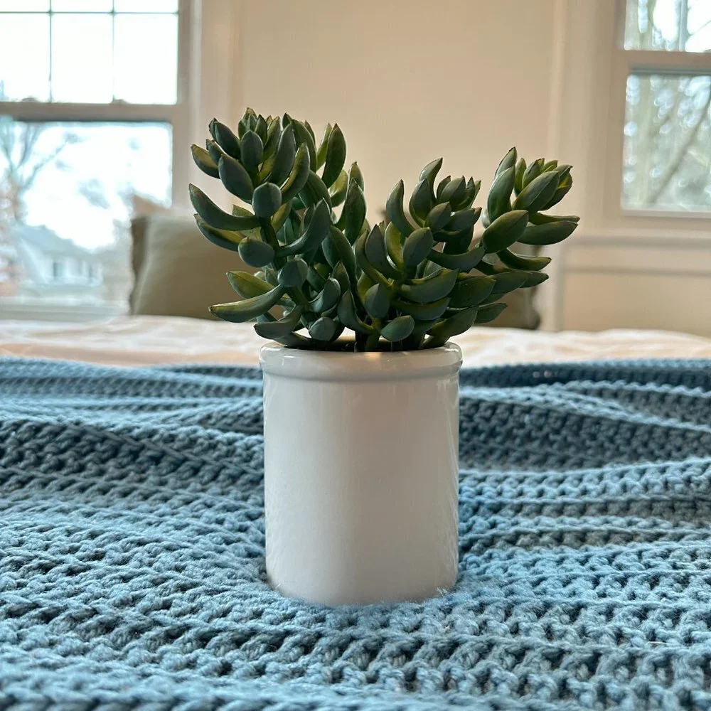 Threshold Artificial Greenery Tabletop Arrangement